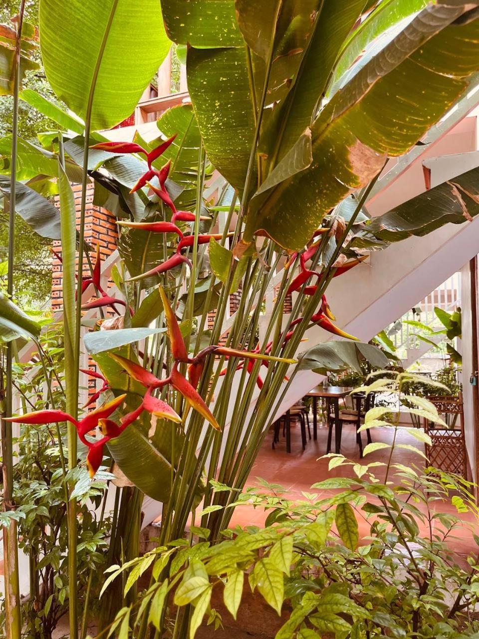 Coconut Lodge Kampot Exterior foto
