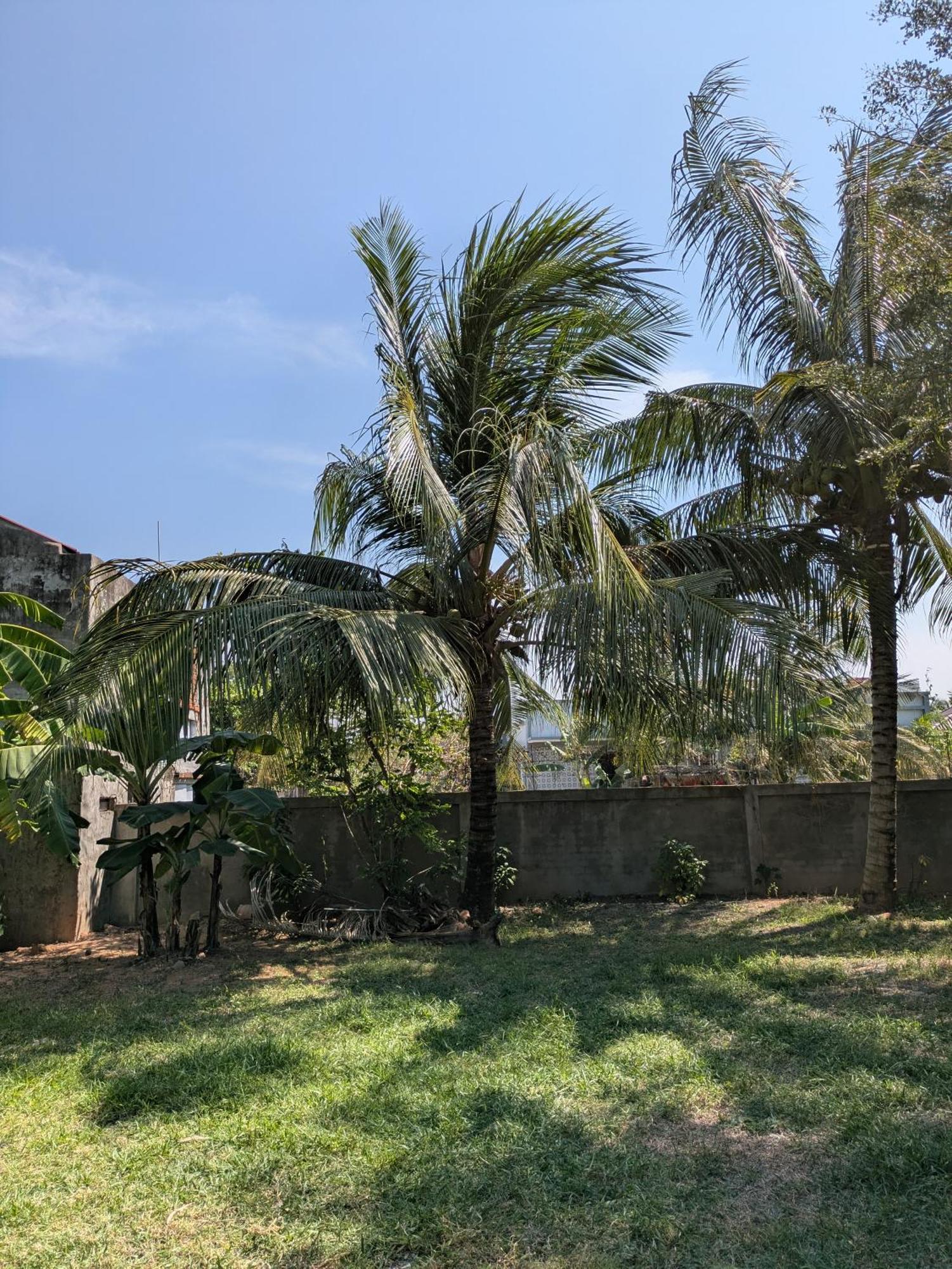 Coconut Lodge Kampot Exterior foto